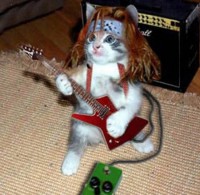 /album/fotogaleria/imagenes-gatos-graciosas-p-1-jpg/